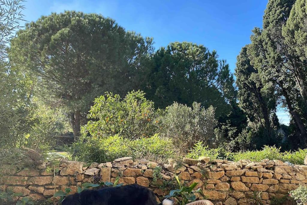 Gite Mas Provencal Tarascón Exterior foto