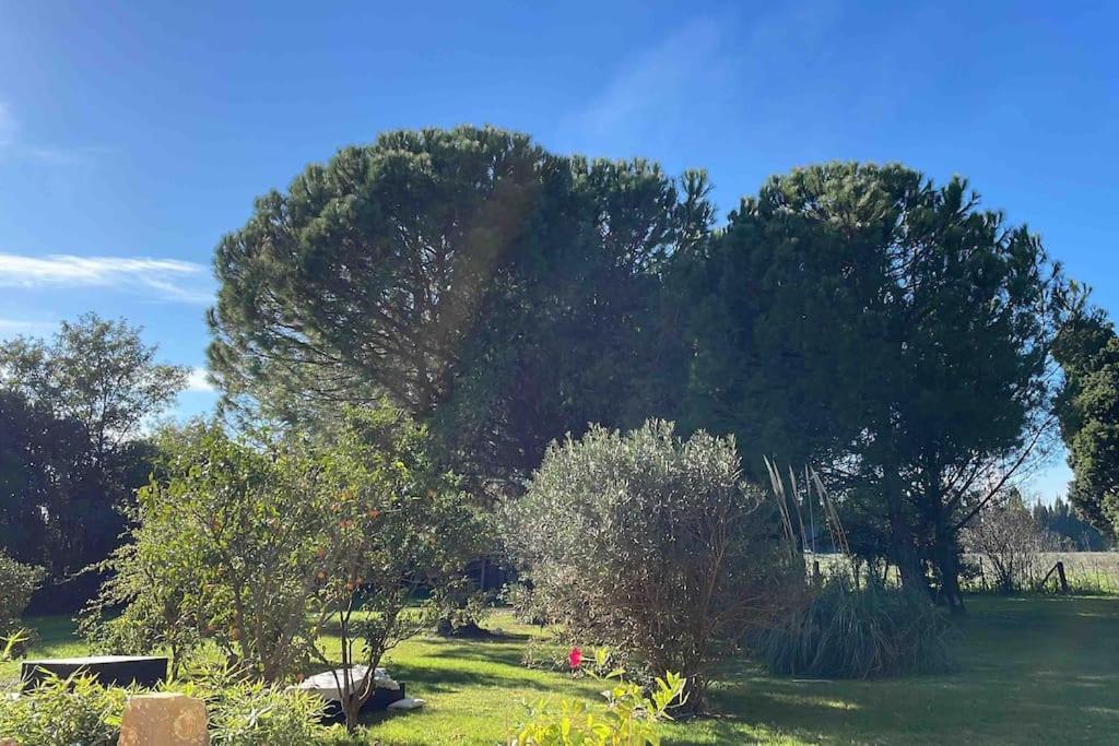 Gite Mas Provencal Tarascón Exterior foto